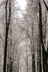 Similar image 22376497