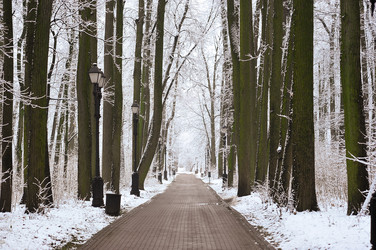 Similar image 22376498