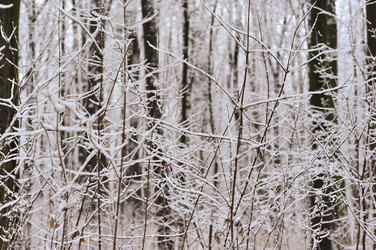 Similar image 22376499