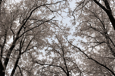 Similar image 22376500