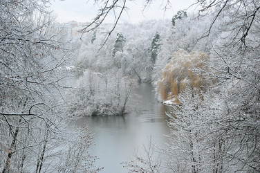 Similar image 22376516