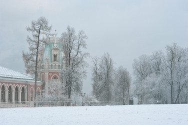 Similar image 22376519