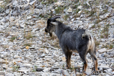 Similar image 22365893