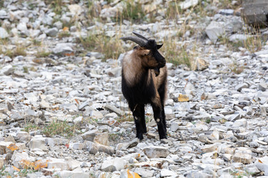 Similar image 22371965