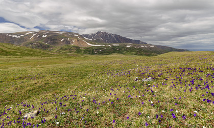 Similar image 22365469