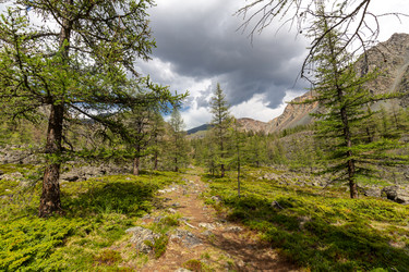 Similar image 22365484