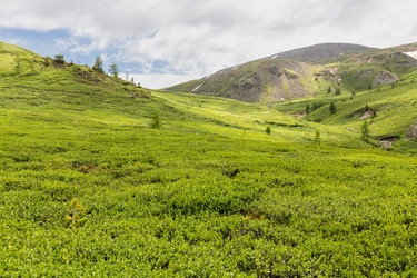 Similar image 22365515