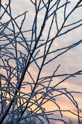 Similar image 22372722