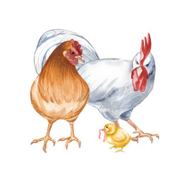 Similar image 22374113