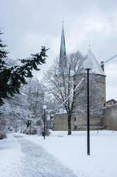 Similar image 22372401