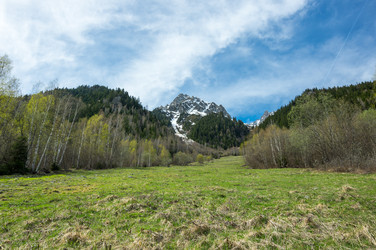 Similar image 22372474