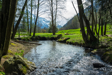 Similar image 22372489