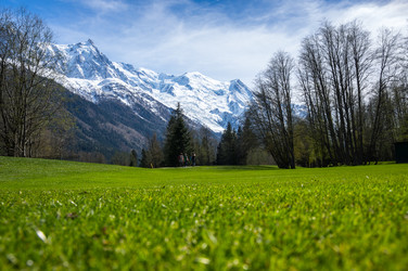 Similar image 22372504