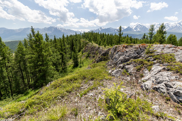 Similar image 22372518