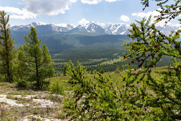 Similar image 22372519