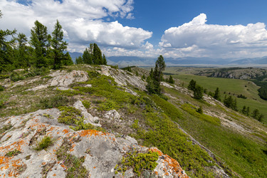 Similar image 22372534