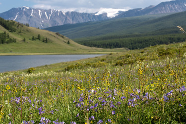 Similar image 22365202