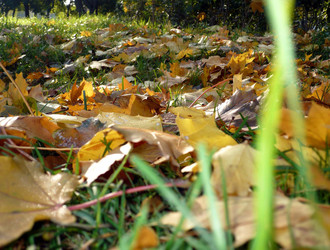 Similar image 22379783