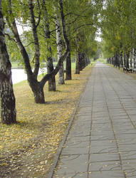 Similar image 22379844