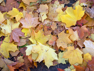 Similar image 22379859