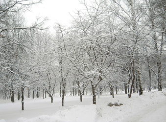 Similar image 22379875