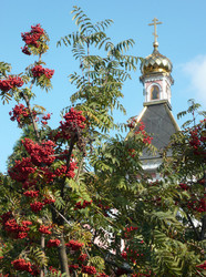 Similar image 22380056