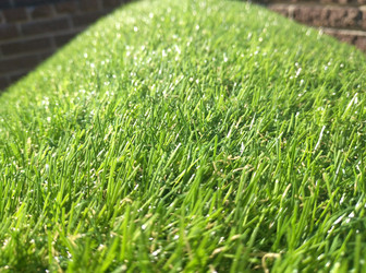 Similar image 22359646