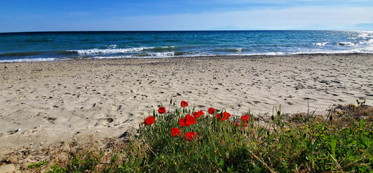 Similar image 22357125