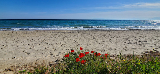 Similar image 22357130