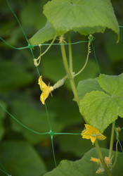 Similar image 22359674