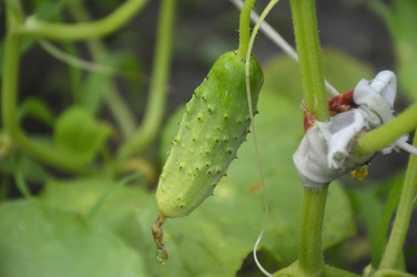 Similar image 22359676