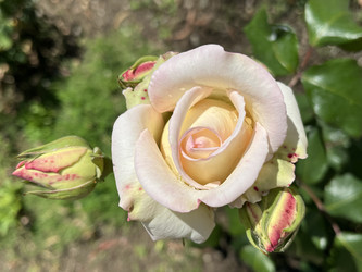 Similar image 22353004