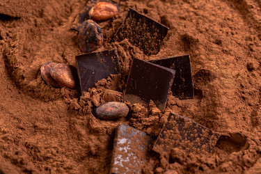 Similar image 22366034