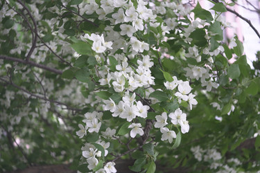 Similar image 22372832