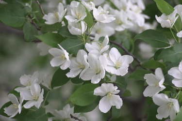 Similar image 22372833