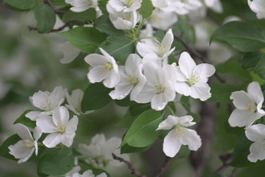 Similar image 22372834