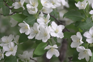 Similar image 22372852