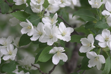 Similar image 22372853