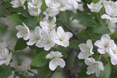 Similar image 22372854