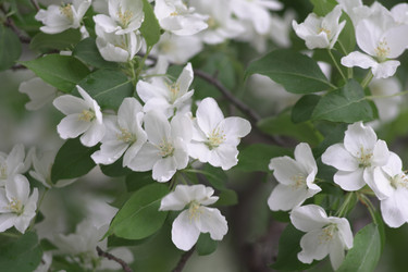 Similar image 22372855