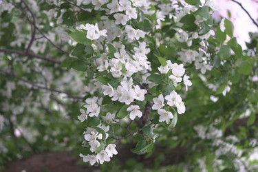 Similar image 22372857