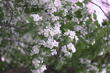 Similar image 22372858