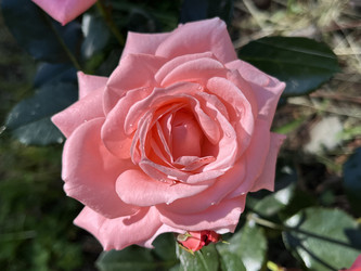 Similar image 22353858