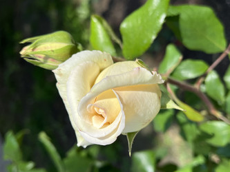 Similar image 22353859