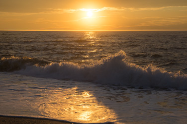 Similar image 22371949