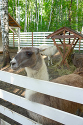 Similar image 22359188