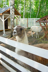 Similar image 22359189