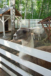 Similar image 22360509