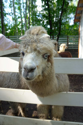 Similar image 22360510