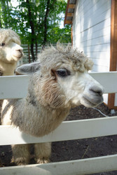 Similar image 22360511